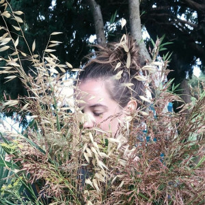 Anne L.