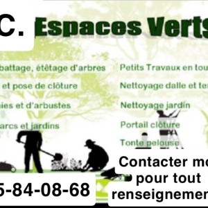 Mayson C. (mc multiple service)