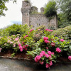 avatar Kaouaoua N.<