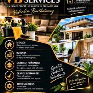 Valentin B. (Vbservices)