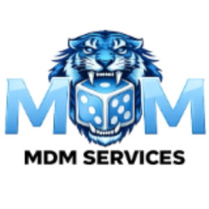 Fabien L. (MDM SERVICES)