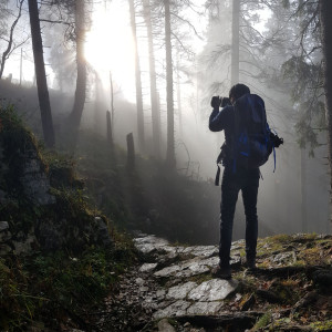 Léo P. (L'établi Vidéo de Léo)