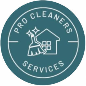 pro cleaners services