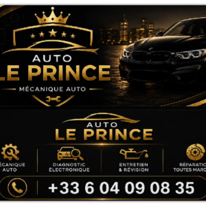 Ameer A. (Auto LE PRINCE)