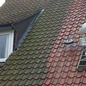 Daniel S. (ENTS SARRA)