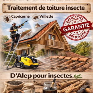 Samuel R. (nettoie pro)