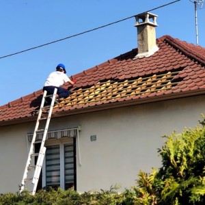 David Y. (David couverture)