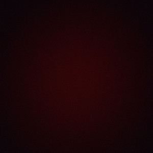 Laetitia T. (Laetitia tillet)