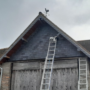 Damien J. (axl services)