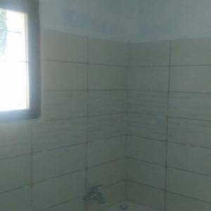 Patrick P. (Nom propre)