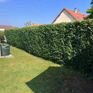 Francois L. (Lm jardinage)