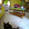 Denis