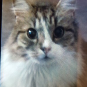 Martine