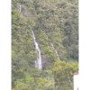 avatar Julie W.<