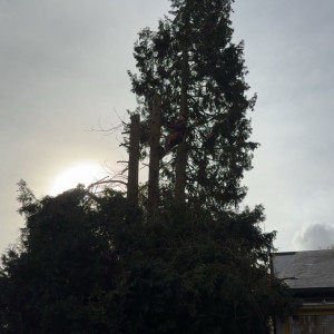 Sanders S. (entreprise sola)