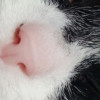 avatar Chizou L.<
