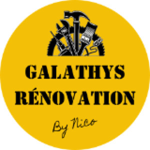 Nicolas W. (Galathys Rénovation)