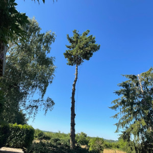 Mike B. (M.b Espace Verts)