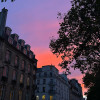 avatar Léa N.<