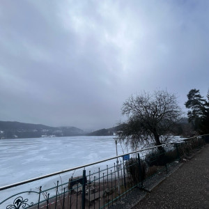 Sergen T. (MultiServices)