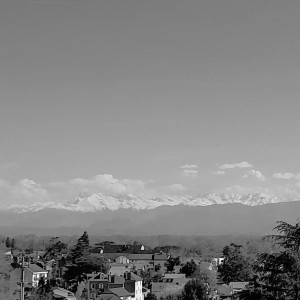 Diana D. (Madame Paloise)