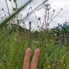 avatar Florence R.<