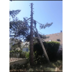 Glenn G. (Guichet elaingage)