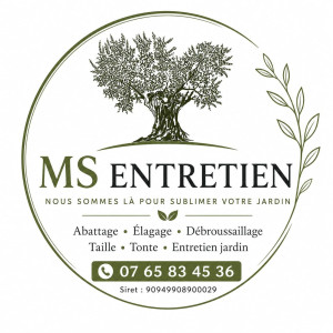 Michael S. (Ms entretien)