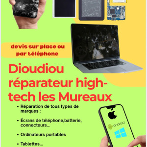 Dioudiou N.