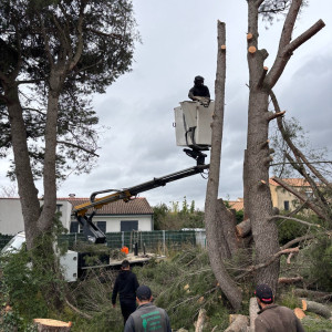 Yohan D. (Ym Elagage)