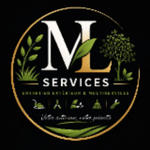 Lucas M. (Ml Services)