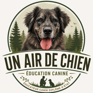 Sylvain L. (Un Air De Chien)