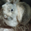 avatar Andréa C.<