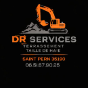 Dylan R. (Dr Services)