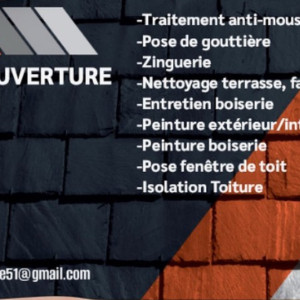 Steve T. (TS Couverture)