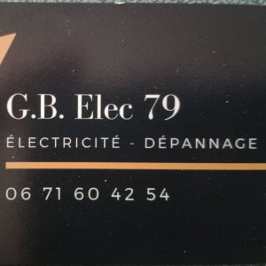 Guillaume B. (GB Élec 79)