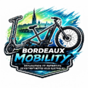 Romain L. (Bordeaux Mobility)