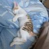avatar Sophie M.<