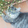 avatar Julia G.<