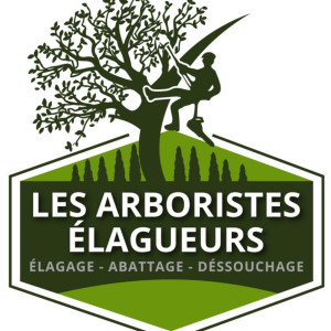 Windy Z. (profesionnel)