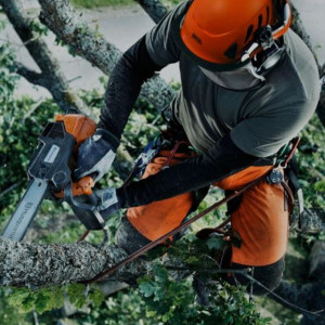 Hart N. (Hart paysagiste)