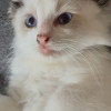 avatar Sophie S.<