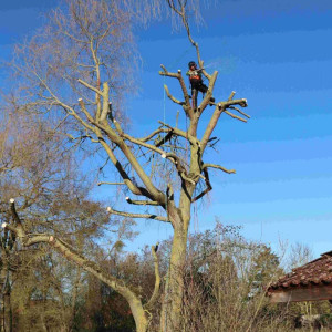 Waren B. (WBBasque)