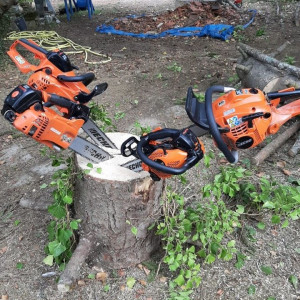 Elie C. (Espace Vert)