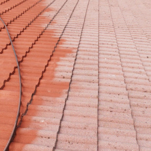 Michel B. (au petit compagnon)