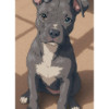 avatar Wendy P.<