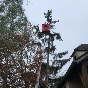 Julien R. (JM Garden)