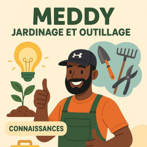 Meddy M.