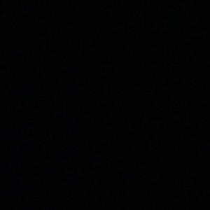 Salomée P. (Salomée Perton Couriaut)