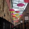 Léa D.